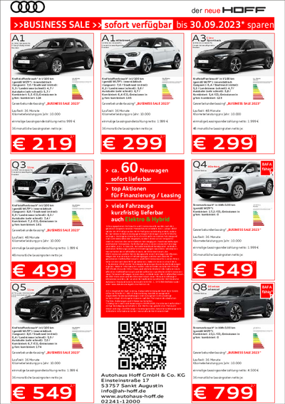 Audi_Business_Sale_2023_Gewerbekunden_neu_Siegburg_Troisdorf_Sankt_Augustin.pdf